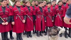грузинская собака хаски поёт С певцами