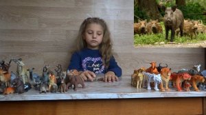 Изучаем диких животных с детьми. Кабан.  5 интересных фактов о кабане!!!!!!!!!!!!