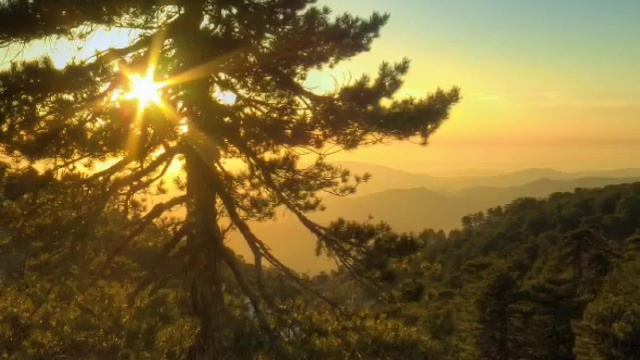 Красивые картинки/Миёк live смотреть онлайн