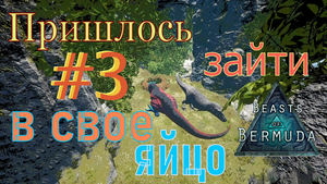 ОЖИДАЕМ СОЗРЕВАНИЯ ЯЙЦА Beasts of Bermuda