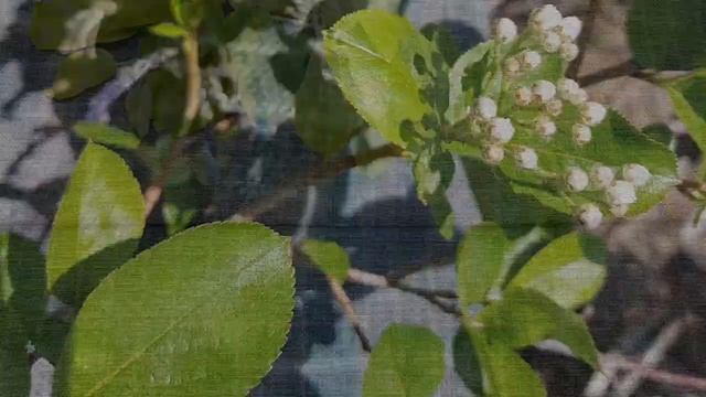 Тканое полотно, ручное ткачество смотреть онлайн