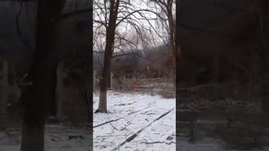 Мариуполь - 2 недели АДА за 7 минут | Алёна Загреба