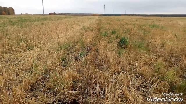 коп монет 22 09 18, не густо но и не пусто смотреть онлайн