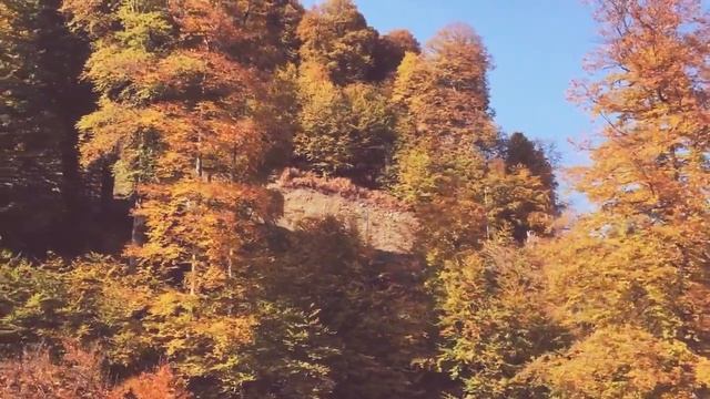 Сочи. Красная Поляна. Роза Хутор. Канатка смотреть онлайн