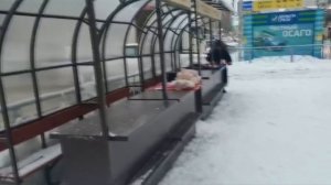 Реализация фермерской продукции. Поиски рынка сбыта. "Мое Подворье"