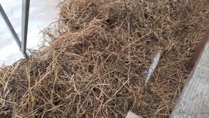 МАЛООБЪЕМКА КЛУБНИКА, укрытия на зиму.