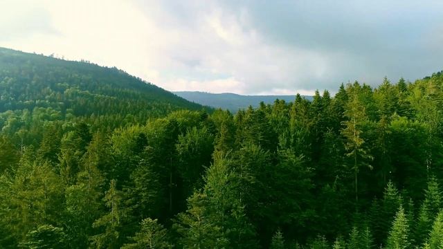 Медитация на одну минуту для обретения комфортного состояния. Простая практика с намерением.
