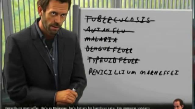 House M.D. The Game Olivia Wilde смотреть онлайн