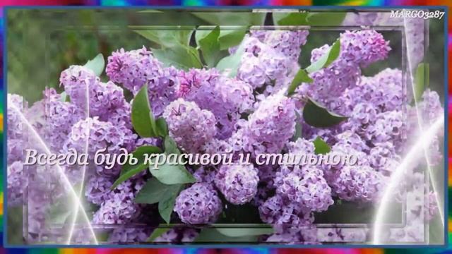 С Днем Рождения Племяшечка!