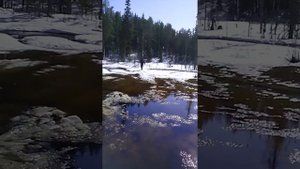 Проезд через ручей на Ямаха Викинг - 540