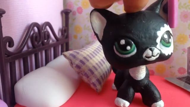 lps | как lps празднуют HALLOWEEN |lps смотреть онлайн