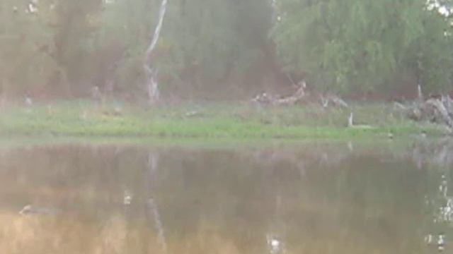 Рыбалка 30 апреля 2012. Цимлянка. Утро. смотреть онлайн