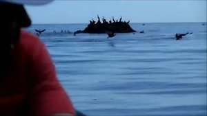 Необитаемый остров в Черном море