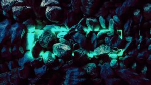 🔥🔥🔥🔥   Dj        😱       jbl   song   malayalam