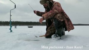 САМОЛОВКИ НА ФОРЕЛЬ,ЛОВИМ ОКУНЕЙ ЧАСТЬ 3  КАК ТО ТАК ❄ ТАCATCH PERCH ,PART 3