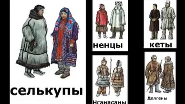 Где жили селькупы