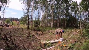Втроём 10 соток за шесть дней. Дача своими руками #2. Вырубили всё.