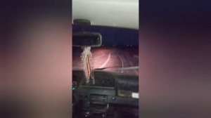 суета на оке