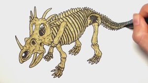Рисование и раскраска скелета динозавра стиракозавра - Раскраски динозавров для детей