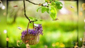 С Добрым Утром Прекрасного Настроения