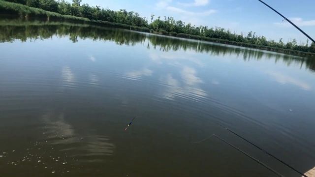 Бешеный клев карпа на поплавок, рыбалка с Семьей смотреть онлайн