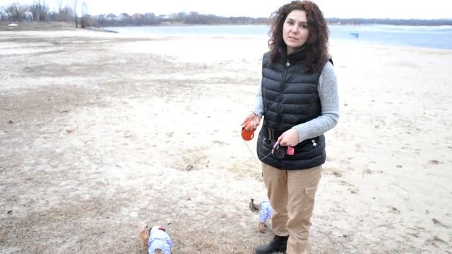 Гуляем по родным местам. Нашли кладбище домашних животных.