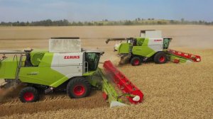 Ах, ты Русь моя!