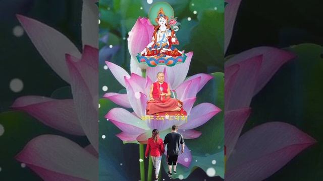 White Tara mantra chanting by Garchen Rinpoche