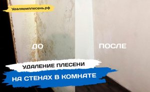 Удаление плесени на стенах в комнате | Санкт-Петербург и Лен.обл