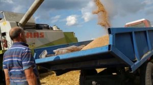 ? ГОД РАБОТЫ ТРАКТОРА Т-25 В ОДНОМ ВИДЕО✔️/YEAR OF WORK OF THE T-25 TRACTOR IN ONE VIDEO