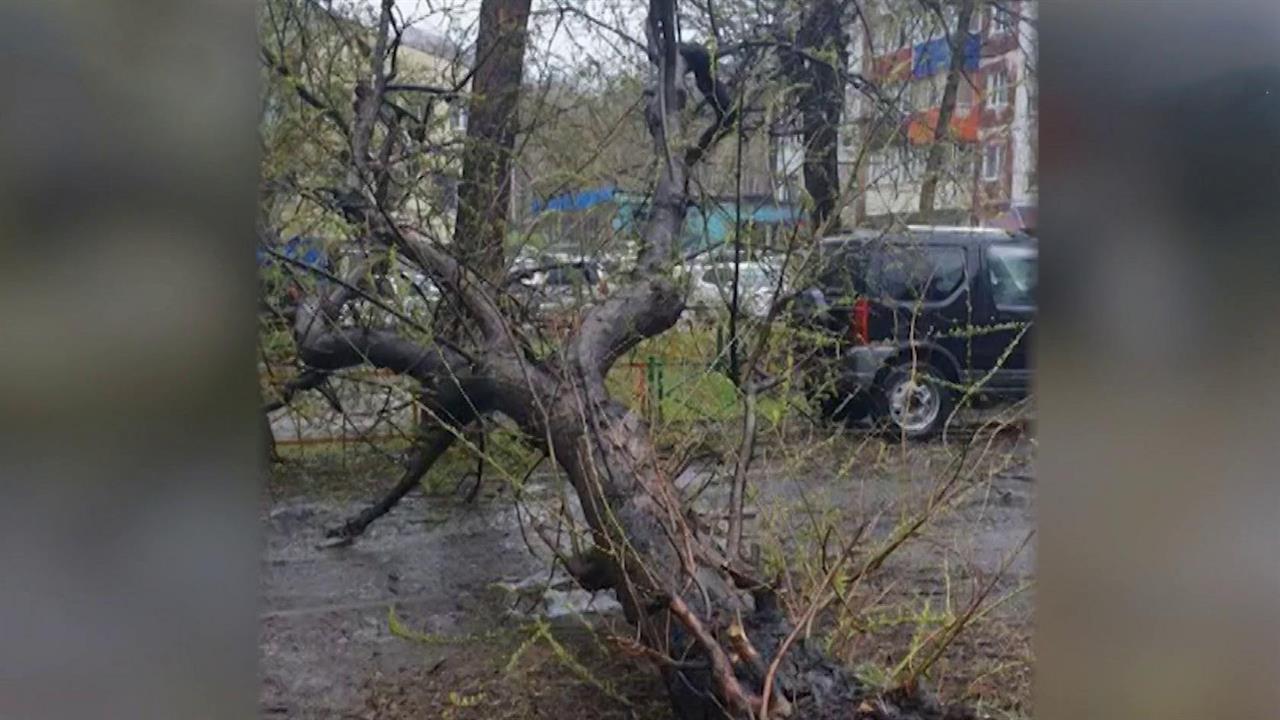 На Камчатку обрушились штормовой ветер и сильный ливень