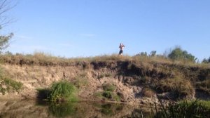 Осы покусали паренька