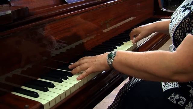 "A Little Horse" Ukrainian live music by Simon Chudnovsky."Коник" Семен Чудновский. смотреть онлайн