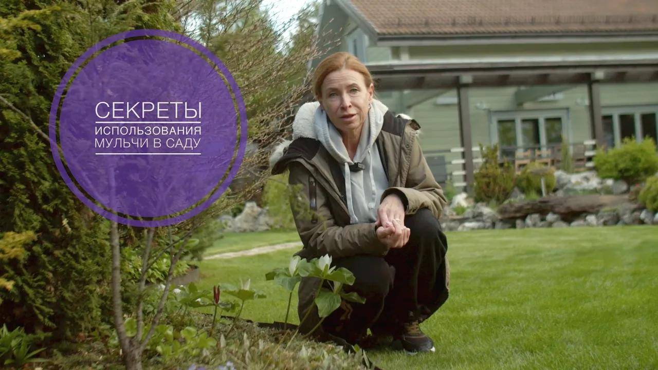 МУЛЬЧА.  ВСЕ СЕКРЕТЫ ИСПОЛЬЗОВАНИЯ В САДУ ОРГАНИЧЕСКОЙ МУЛЬЧИ