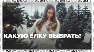 Какие ёлки популярны у москвичей? — Москва 24 | Контент