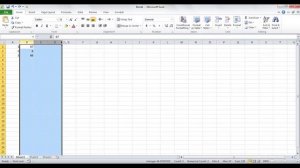 Excel : Inserting Rows & Columns in Worksheet