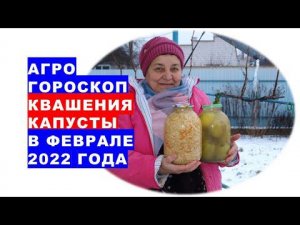 Агрогороскоп квашения капусты в феврале 2022 года