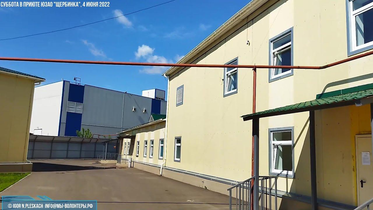 Суббота в приюте ЮЗАО "Щербинка", самые волонтерские выходные дни, 4 июня 2022