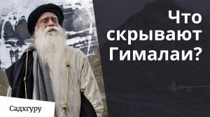 Тайны Гималайских мастеров