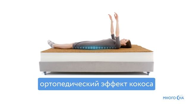 Матрас Dimax Оптима Ролл Медиум | Видеообзор от МногоСна