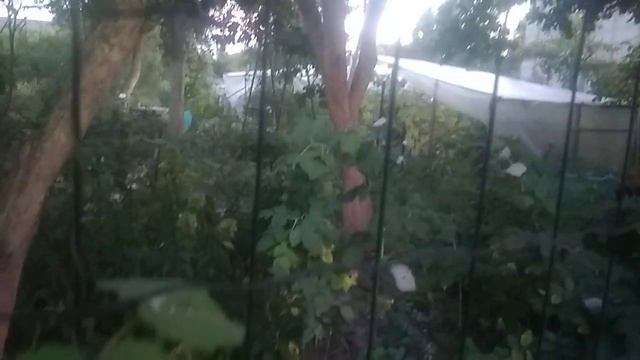 Конец лета. Уставшая дача смотреть онлайн