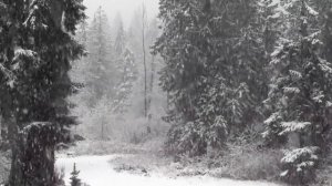 Wardruna--Jara/Algir-Stien Klarnar