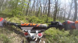 PIT BIKE KAYO TT 160 ENDURO NELLA FORESTA