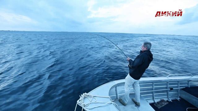 Планета нахлыста смотреть онлайн