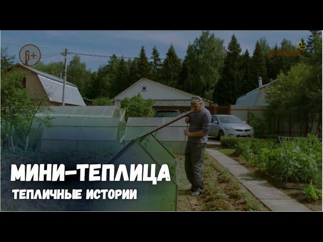 Мини-теплица / Тепличные истории / Выпуск 4
