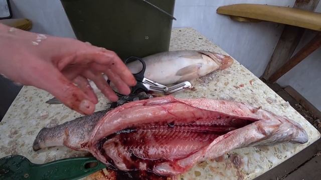 Как быстро почистить рыбу / Как почистить рыбу чтобы чешуя не разлеталась / +Конкурс.