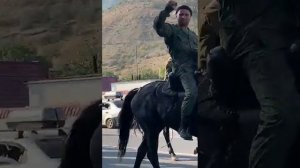 КфхАтажукино Кабардинская порода лошадей