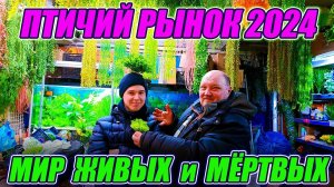 Птичий рынок 2024 Мир Живых и Мёртвых растений!