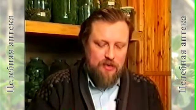 Очанка прямостоячная