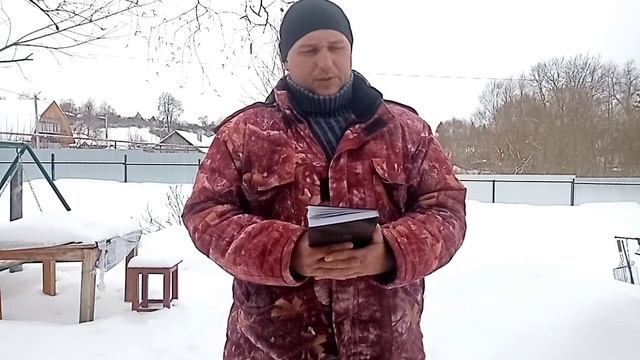 Доход от гусей. Стоит ли их заводить? смотреть онлайн